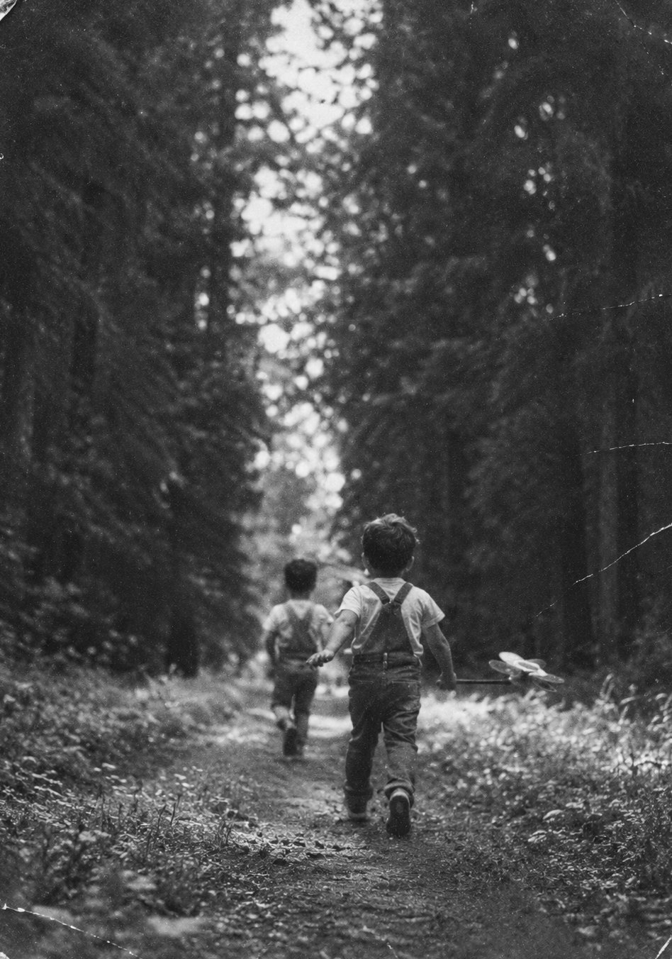 Photo ancienne en noir et blanc : deux enfants en salopette marchent sur un chemin forestier, de dos